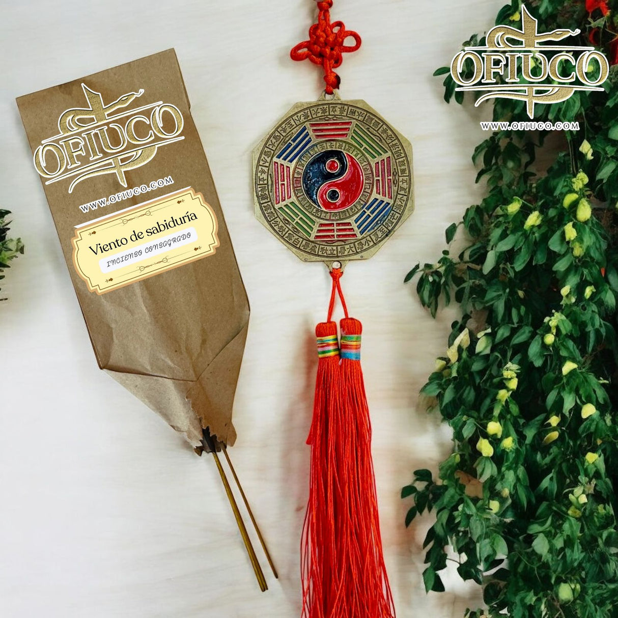 Ophiuchus Bagua Sacred Feng Shui