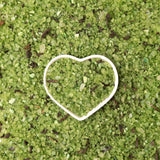 Herbalist: Sea Salt to Purify