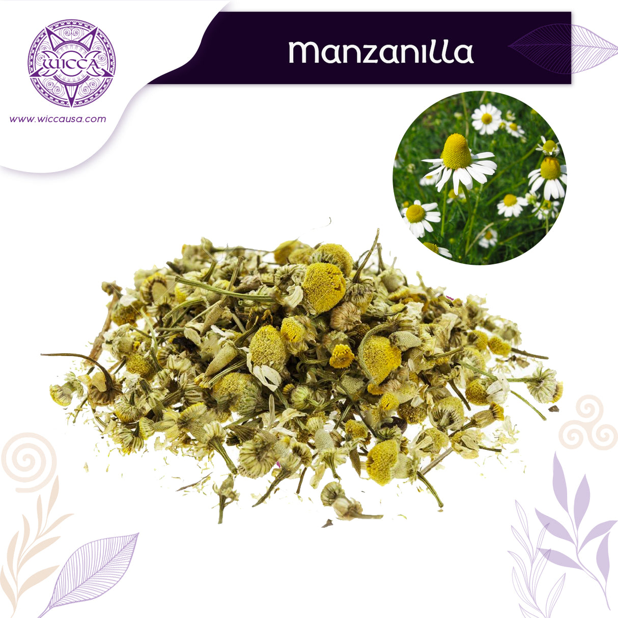 Herbolario: Manzanilla Para La Relajacion